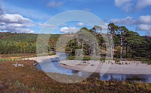 Cairngorms National ParkÂ , Scotland, UK